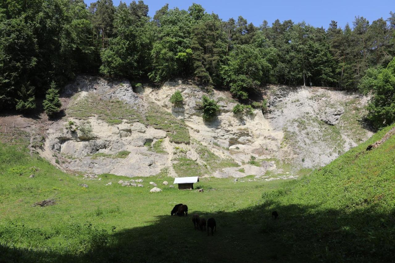 Landgasthof Adler 2*